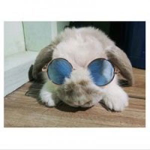 Jirawan Jeamsaard profile icon