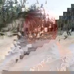 Sang Du profile icon