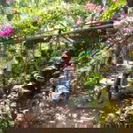 Desty Anna profile icon