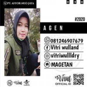 Vitri Wulland profile icon