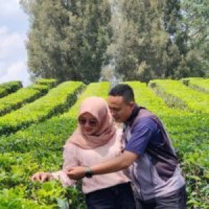 Ratiech Octavieany Darwis profile icon