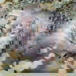 Cece Ciendy profile icon