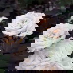 Fauzi Gumilar profile icon