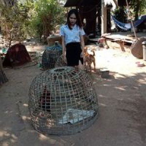 Niru Mas profile icon