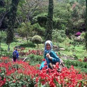 Rinda Putri profile icon