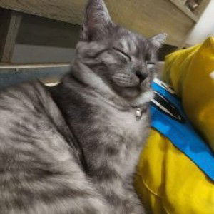 บัวรัน กาละมังกาละบู profile icon