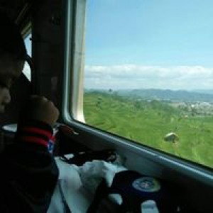 Ari Siswiani profile icon