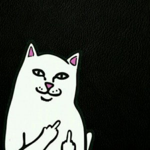 Mah Rahmah profile icon
