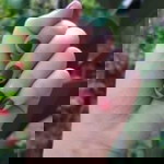 Waroeng Henna profile icon