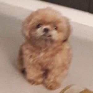 Heaven Bound profile icon