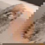 Heaven Bound profile icon