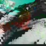 Cikk Ayin profile icon