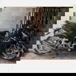 Rufino Boldadora Regasajo profile icon