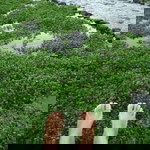 sari nastiti profile icon