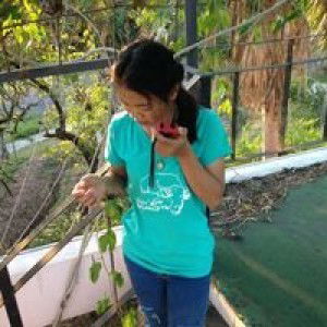 Natsuda Hemmakoon profile icon