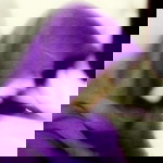 Listi Listi profile icon