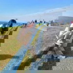 บีบี จัง profile icon