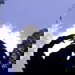 Riani Sapitri profile icon