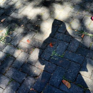 Ummi Sholikhah profile icon