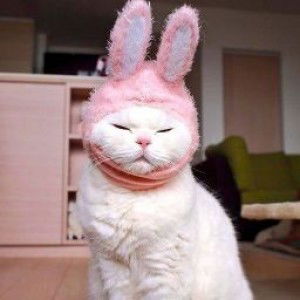 SITI NUR CHOLITTDHAH profile icon