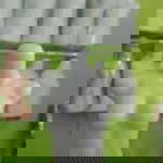 Apriliya profile icon