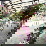 Sri Rastuti profile icon