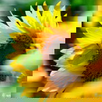 intan permadani profile icon