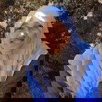 Arinal Muna profile icon