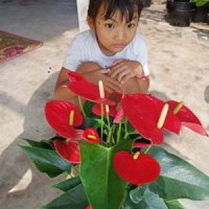 สัญญา ทองนอก profile icon