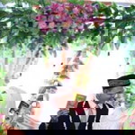 Mayta Eka Maharani profile icon