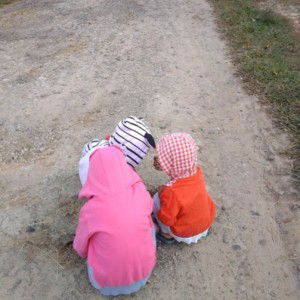 Hasnie Raneeya profile icon