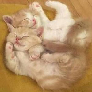 Windyy C'All profile icon