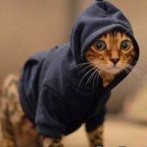 Doris Anne B profile icon