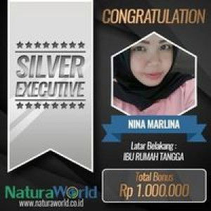 Nina Marlina profile icon