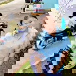 ต'ต้อย ไงจะใครละ profile icon