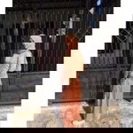 Nelly Rizky profile icon