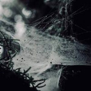 แอนนา รักกันดี profile icon