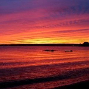 Kemalawati Dewi profile icon