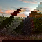 Alex Fatima profile icon