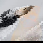 Ac Mobile profile icon