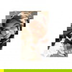 Arida profile icon