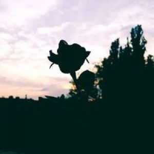 Widy Fauziah profile icon