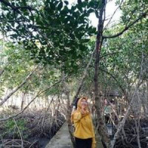 Komaria profile icon