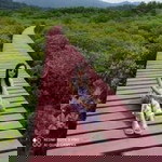 Kessarin Khwanon profile icon