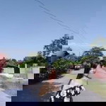 Juliet Mrose Pevensie Naja profile icon