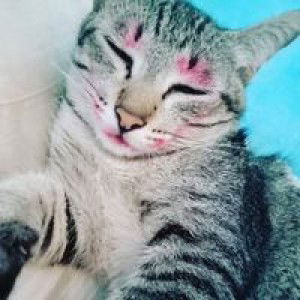 Anin Rahmadhaniaty Philiang profile icon