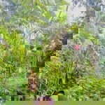 Sri Noviyanti profile icon