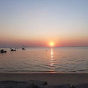 Angel William profile icon