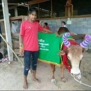 ณัฐวุฒิ พุฒด้วง profile icon