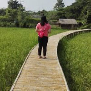 ดีวัน ดีคืน ก้าวทีละก้าว profile icon